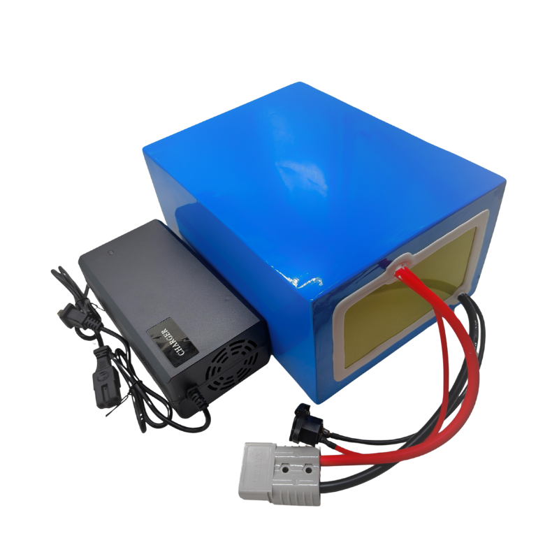 Paquete de baterías de iones d - 72V 40Ah Lifepo4 Battery Pack reseña y precio