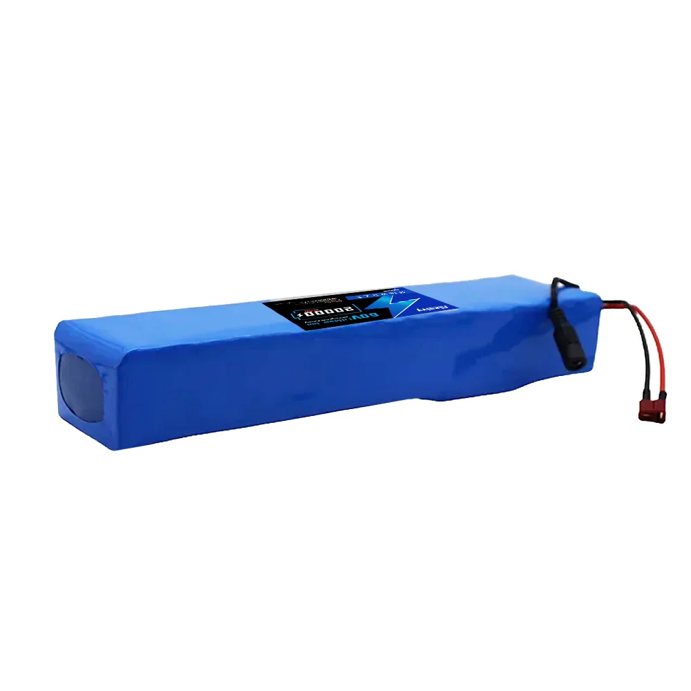 2025 Paquete de batería de ion - 60V 50Ah Electric Scooter Battery reseña y precio
